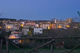 Il Risveglio