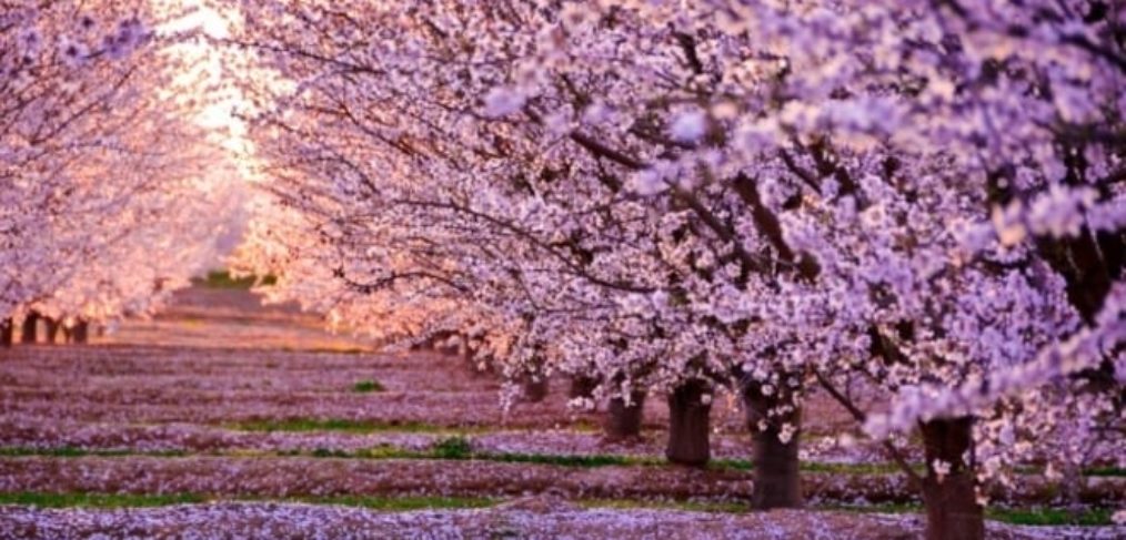 Equinozio di primavera