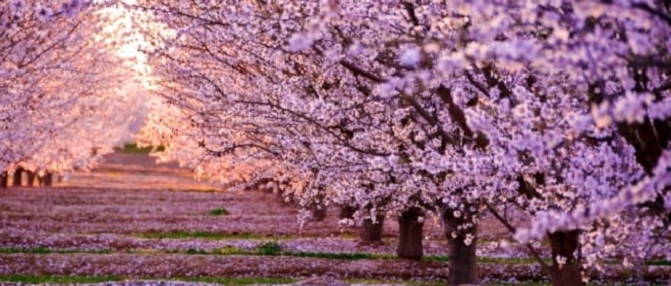 Equinozio di primavera