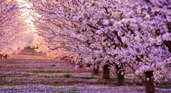 Equinozio di primavera